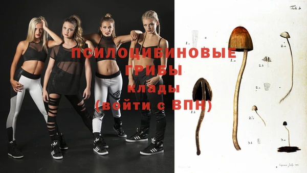 трава Алзамай