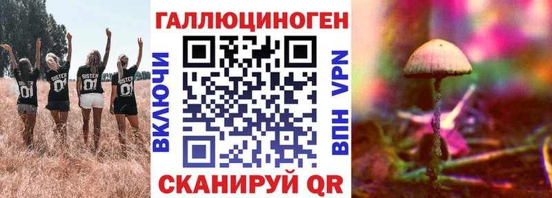 Галлюциногенные грибы прущие грибы  OMG   Осташков 